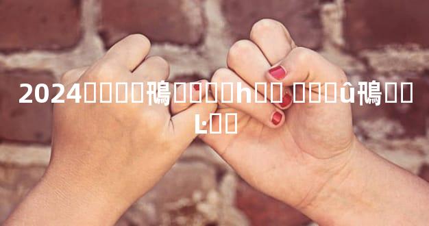 2024����鳵�۸��һ�� ���û鳵��Ŀ��